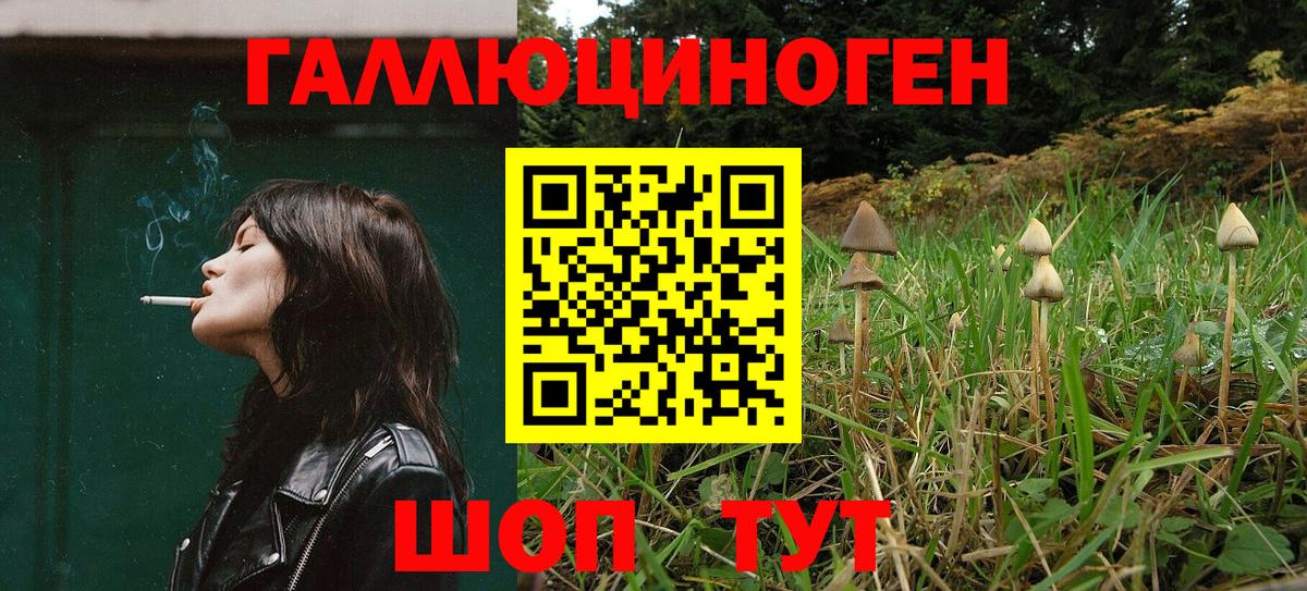 Псилоцибиновые грибы мицелий  Галлюциногенные грибы GOLDEN TEACHER  Вход с VPN  Назрань 